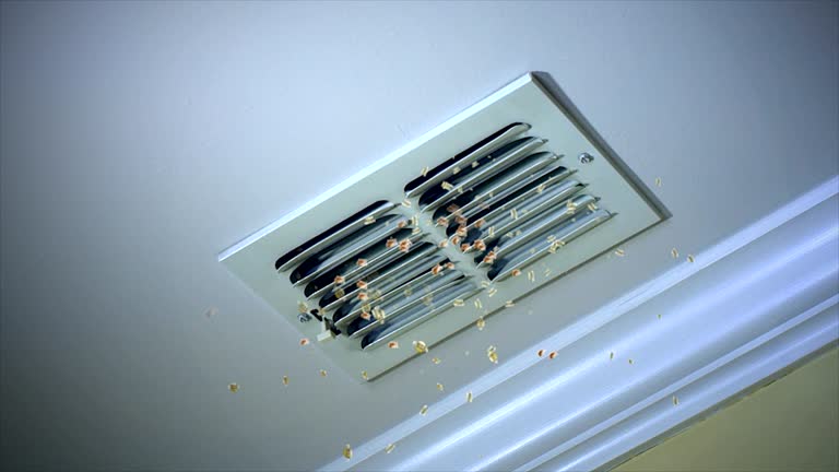 Best Affordable Air Duct Cleaning  in Alafaya, FL